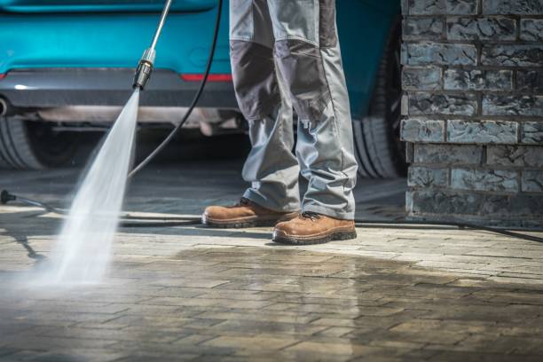 Best Roof Washing  in Gordo, AL