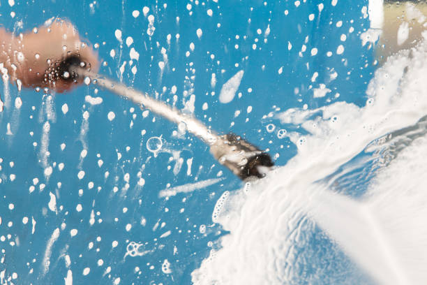 Best Animal Enclosure Cleaning  in Gordo, AL